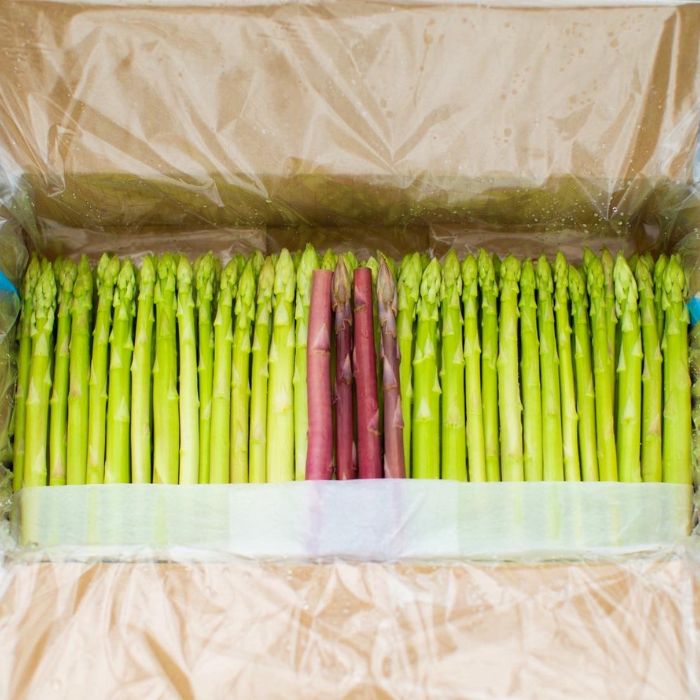 【ふるさと納税】アスパラ王子が育てた自慢のアスパラ　おおもりやオリジナル　穂だけアスパラ1kg【予約受付：令和8年3～4月頃から順次発送】〔さぬきのめざめ おおもりや アスパラガス 春芽 ジューシー 長い 甘い 太い 贈答用 家庭用 〕 - 画像2