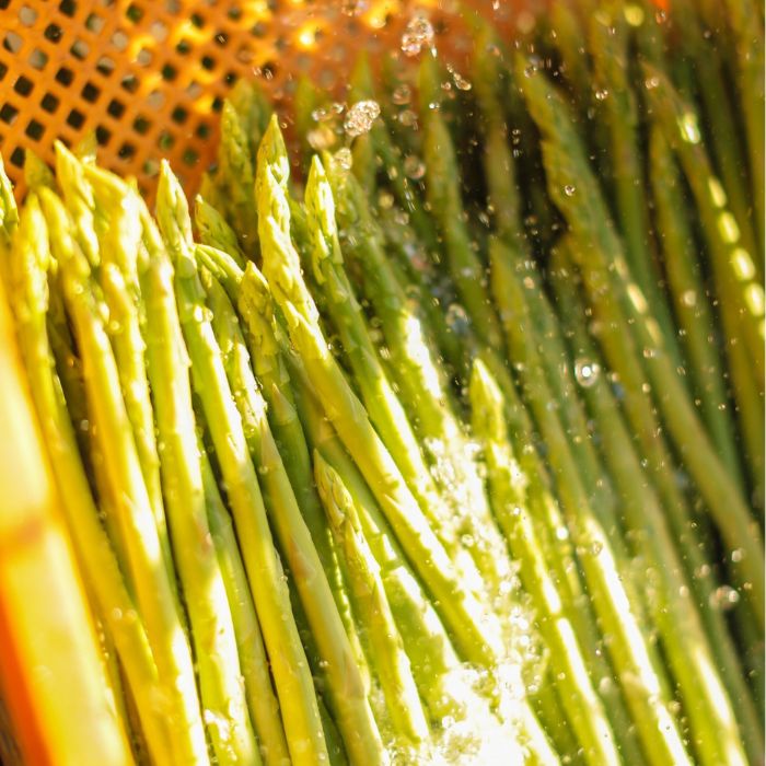 【ふるさと納税】個性アスパラ（L-2L混合）さぬきのめざめ1kg (訳あり)【予約受付：令和8年3～4月頃から順次発送】〔さぬきのめざめ アスパラガス シャキシャキ 爽やかな甘み まろやか 長い〕 - 画像2