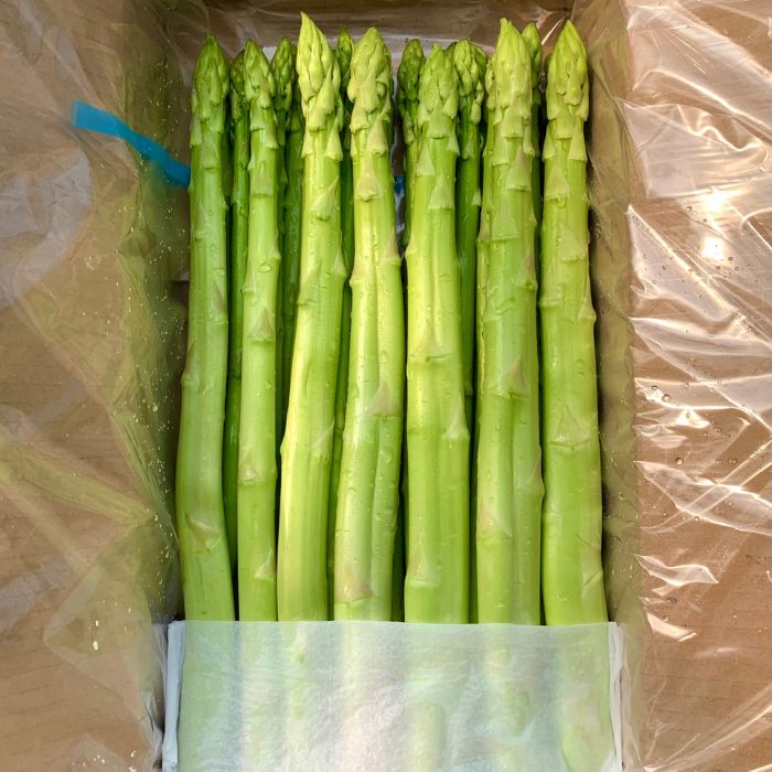 【ふるさと納税】個性アスパラ（L-2L混合）さぬきのめざめ1kg (訳あり)【予約受付：令和8年3～4月頃から順次発送】〔さぬきのめざめ アスパラガス シャキシャキ 爽やかな甘み まろやか 長い〕 - 画像3