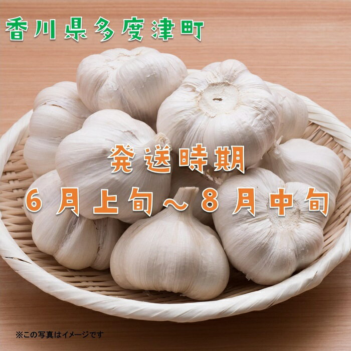 【ふるさと納税】多度津町産　乾燥にんにく 約2.5kg（予約受付中： 令和8年6月中旬より発送！）〔提供：株式会社ことひら街道〕しあわせ製麺 香川県 生産量全国2位 肉厚 ニンニク ガーリック 野菜 - 画像2