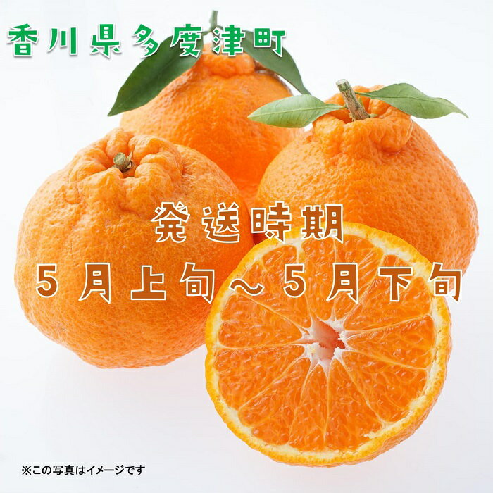 【ふるさと納税】長期貯蔵 熟成 不知火（でこぽん）約2.8kg【令和8年5月中旬より発送】〔提供：株式会社ことひら街道〕 しあわせ製麺 甘い ジューシー 季節限定 フルーツ くだもの 香川県 多度津町 旬 新鮮 ふるーつ 果物 サムネイル2