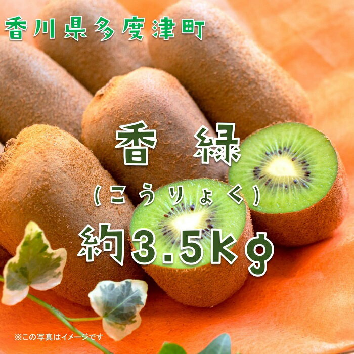 香川県オリジナルキウイフルーツ「香緑」約3.5kg【予約受付中！令和7年11月下旬頃から発送】〔提供：株式会社ことひら街道〕しあわせ製麺 甘い 濃い緑色 期間限定