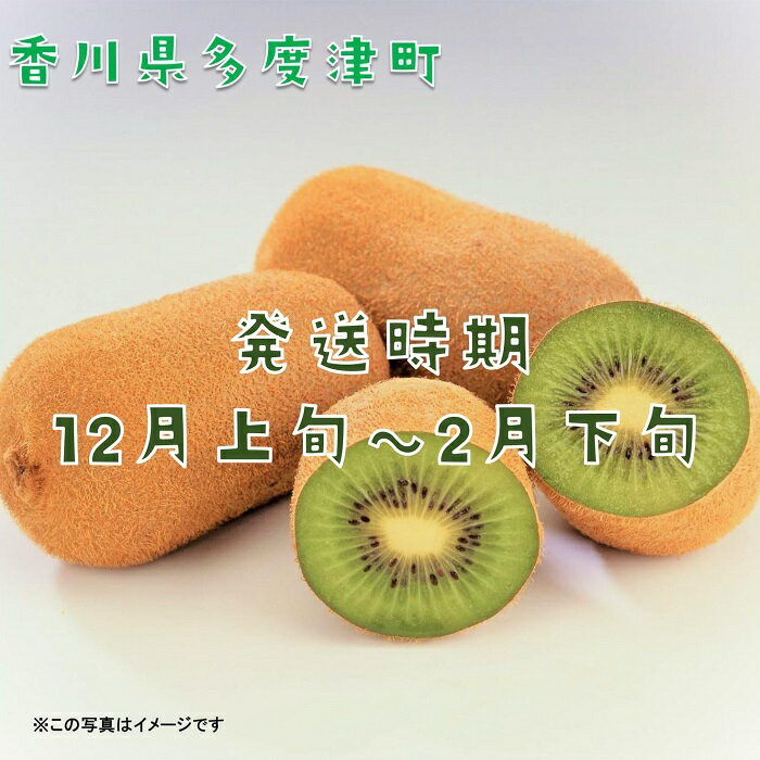 【ふるさと納税】香川県オリジナルキウイフルーツ「香緑」約3.5kg【予約受付中！令和7年11月下旬頃から発送】〔提供：株式会社ことひら街道〕しあわせ製麺 甘い 濃い緑色 期間限定 サムネイル2