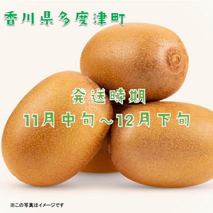 【ふるさと納税】香川県オリジナルキウイフルーツ「さぬきキウイっこ&#174;」1.3kg【予約受付中！令和7年11月上旬頃から】〔提供：株式会社ことひら街道〕しあわせ製麺 甘い 小さい 一口サイズ ゼリーみたい 期間限定 サムネイル2