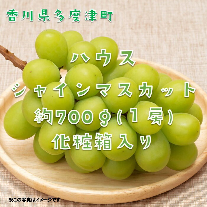 ハウスシャインマスカット　1房　化粧箱【令和8年7月下旬頃発送!予約受付中!】〔提供：ことひら街道〕しあわせ製麺 ぶどう 進物 甘い マスカット