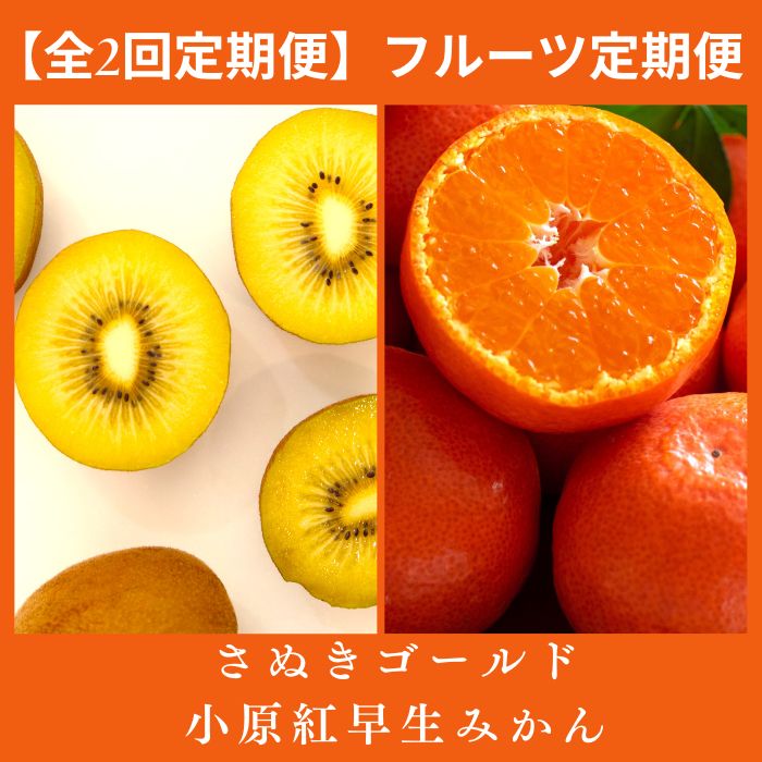 【全2回フルーツ定期便】さぬき讃フルーツ　さぬきゴールドと小原紅早生みかん〔提供：有限会社マミィギフトカガワ〕