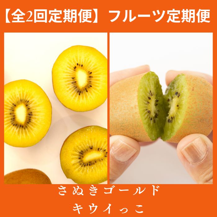 【全2回フルーツ定期便】さぬきゴールドとさぬきキウイっこ〔提供：有限会社マミィギフトカガワ〕