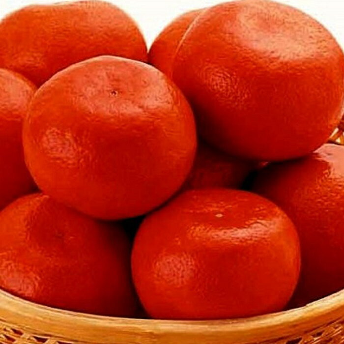 【ふるさと納税】【全2回フルーツ定期便】小原紅早生みかんと不知火(デコポン)〔提供：有限会社マミィギフトカガワ〕 サムネイル3