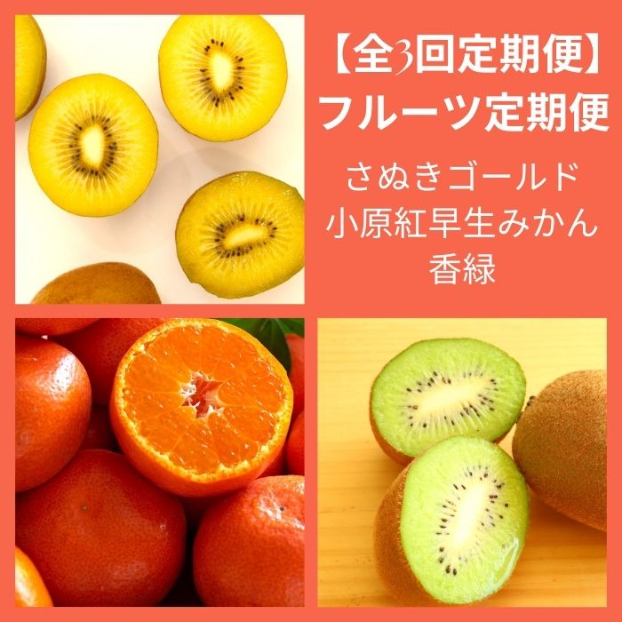 【全3回フルーツ定期便】さぬきゴールドと小原紅早生みかんと香緑〔提供：有限会社マミィギフトカガワ〕