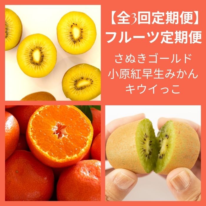 【全3回フルーツ定期便】さぬきゴールドと小原紅早生みかんとさぬきキウイっこ〔提供：有限会社マミィギフトカガワ〕