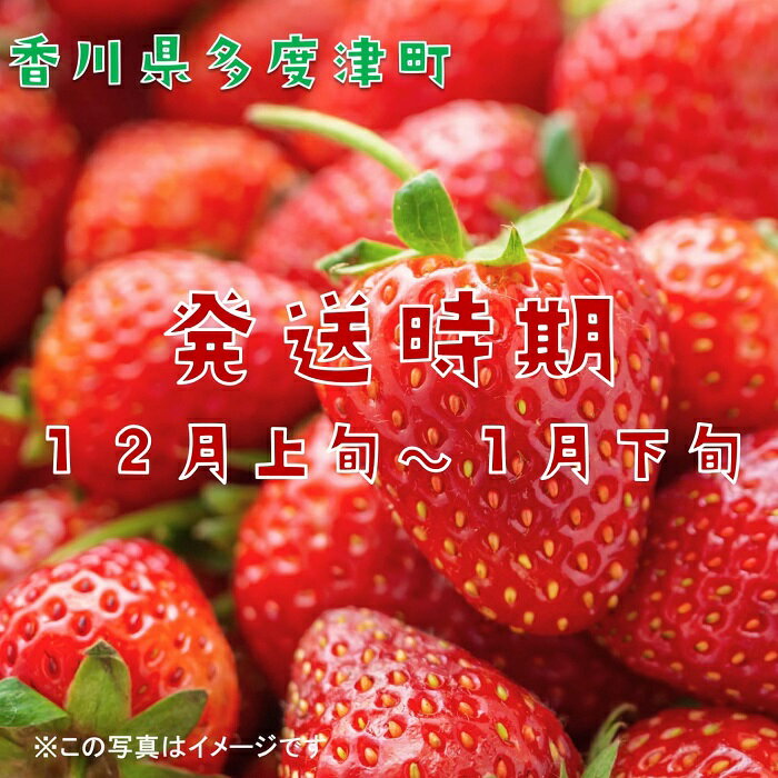 【ふるさと納税】さぬきひめいちご 約400g化粧箱入り(12～18粒)【予約受付中：令和7年12月より発送】〔提供：株式会社ことひら街道〕しあわせ製麺 いちご あまい サムネイル2