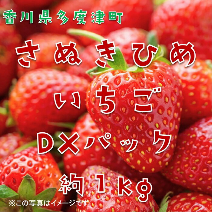 さぬきひめいちご 約1kgDXパック【予約受付中：令和7年12月より発送】〔提供：株式会社ことひら街道〕 しあわせ製麺 いちご あまい
