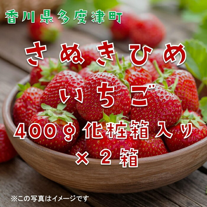 香川県オリジナル品種 さぬきひめいちご 約400g化粧箱入り(12～18粒)×2箱【令和8年2月中旬頃より発送】〔提供：株式会社ことひら街道〕しあわせ製麺 イチゴ 苺 甘い ジューシー