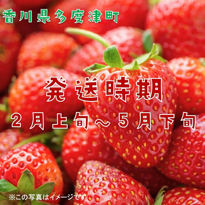 【ふるさと納税】香川県オリジナル品種 さぬきひめいちご 約400g化粧箱入り(12～18粒)×2箱【令和8年2月中旬頃より発送】〔提供：株式会社ことひら街道〕しあわせ製麺 イチゴ 苺 甘い ジューシー サムネイル2