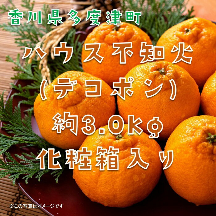 不知火（デコポン）ハウス栽培 約3kg【予約受付中！令和7年12月下旬頃～】〔提供：株式会社ことひら街道〕しあわせ製麺 甘い ギフト 季節限定