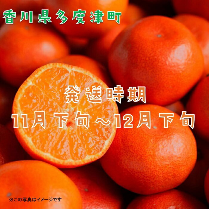 【ふるさと納税】『小原紅早生みかん』約5kg【予約受付中！令和7年11月下旬より発送】〔提供：株式会社ことひら街道〕しあわせ製麺 香川県オリジナル品種 濃厚な甘さ サムネイル2