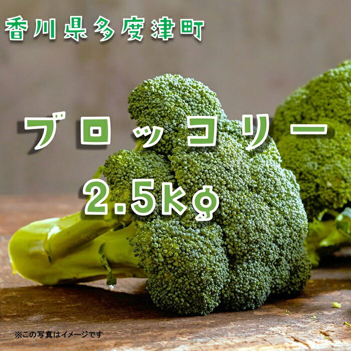 ブロッコリー約2.5kg　サイズおまかせ〔提供：ことひら街道〕ブロッコリースプラウト スティックセニョール