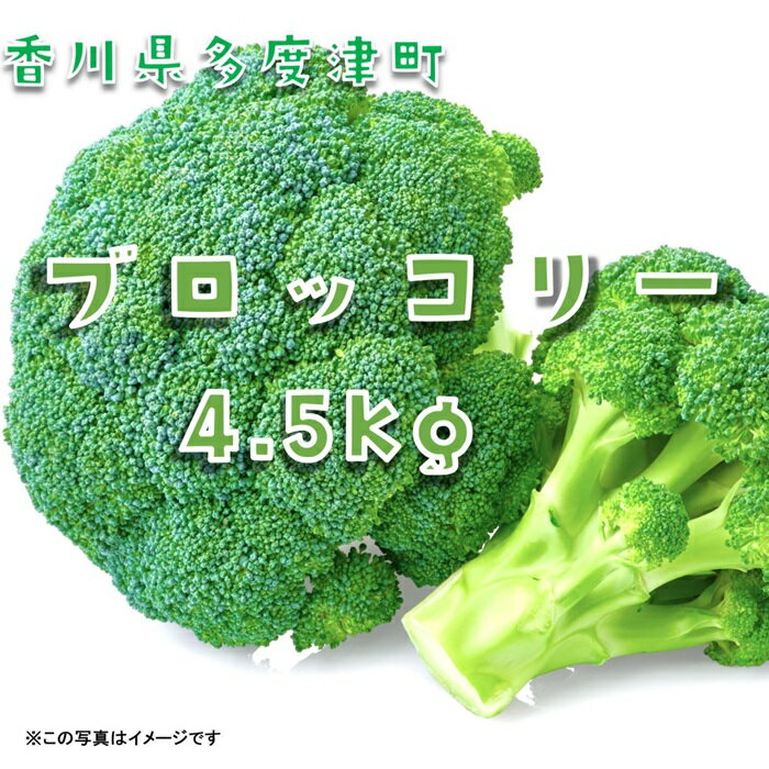 ブロッコリー　訳あり約4.5kg　サイズおまかせ〔提供：ことひら街道〕ブロッコリースプラウト スティックセニョール