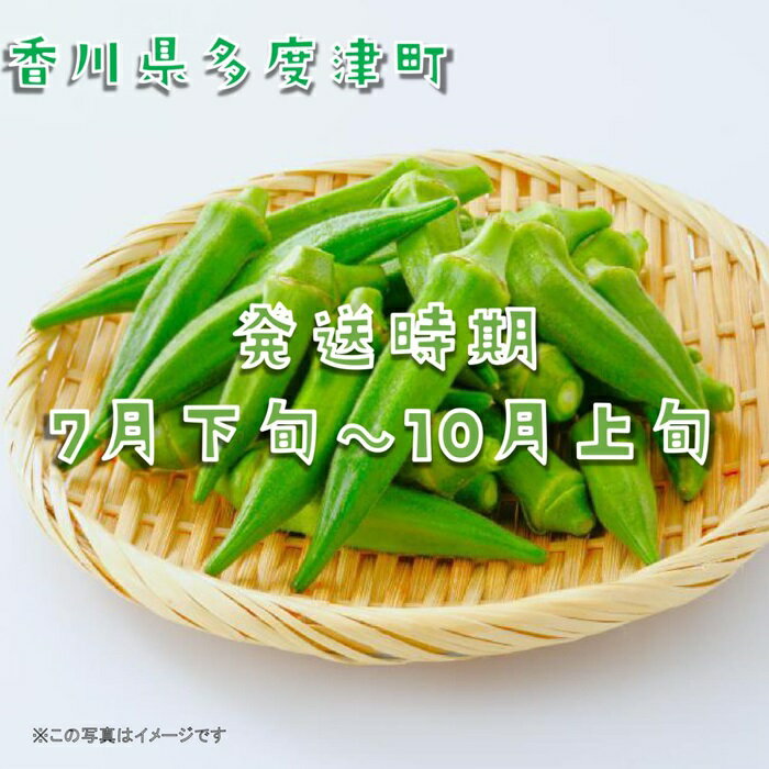 【ふるさと納税】オクラ約700g　10ネットまたはバラ詰め〔提供：ことひら街道〕食物繊維、β-カロテン、ビタミンC、カリウム、葉酸 - 画像2