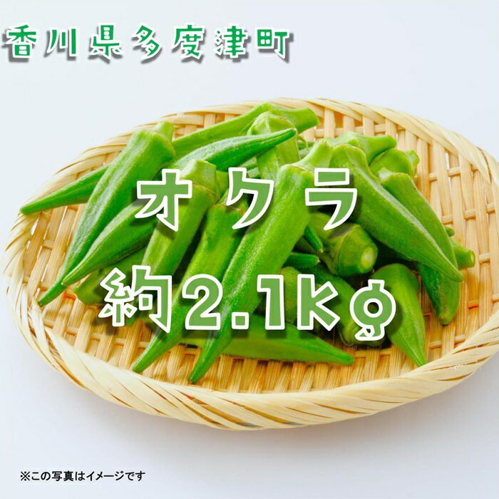 オクラ約2.1kg　30ネットまたはバラ詰め〔提供：ことひら街道〕食物繊維、β-カロテン、ビタミンC、カリウム、葉酸