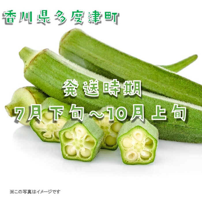 【ふるさと納税】オクラ約2.1kg　30ネットまたはバラ詰め〔提供：ことひら街道〕食物繊維、β-カロテン、ビタミンC、カリウム、葉酸 - 画像2