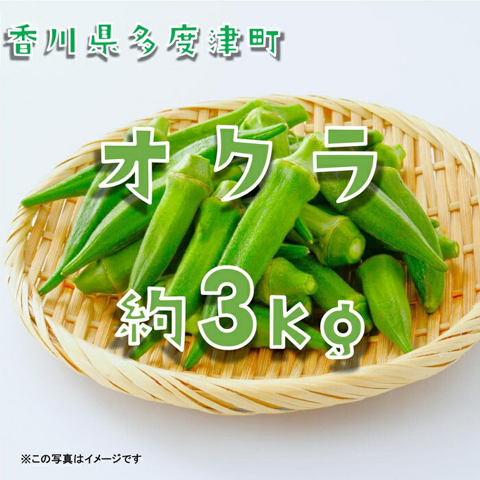 オクラ約3kgバラ詰め（わけあり）〔提供：ことひら街道〕食物繊維、β-カロテン、ビタミンC、カリウム、葉酸