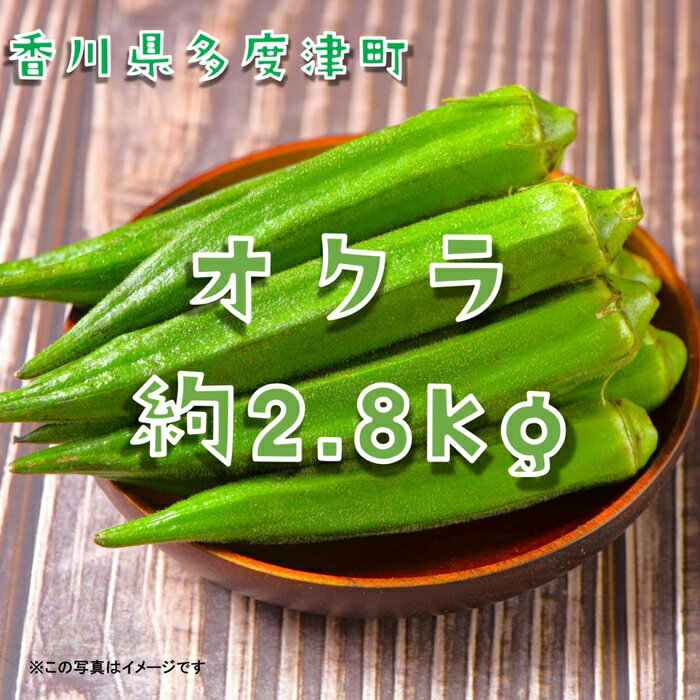オクラ約2.8kg　40ネットまたはバラ詰め〔提供：ことひら街道〕食物繊維、β-カロテン、ビタミンC、カリウム、葉酸