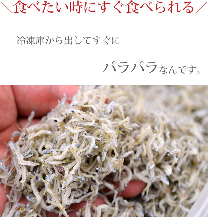 【ふるさと納税】ちりめんじゃこ!!（旬 獲れ立て発送！！）上乾ちりめん 1kg（お届け：冷凍）】【令和8年6月より発送！】瀬戸内 新鮮 期間限定 サムネイル2