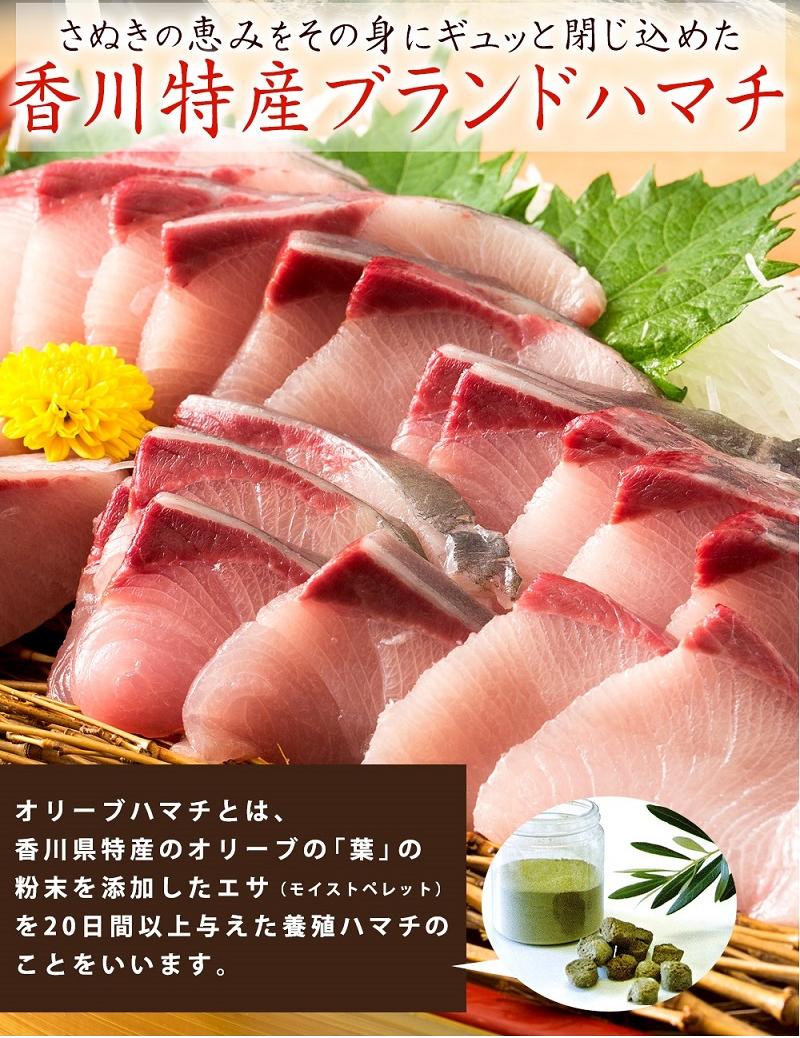 【ふるさと納税】オリーブハマチ1本まるごと！選べるカット（お届け：冷蔵）【予約受付：令和7年10月中旬頃から出荷開始！】お刺身や漬け丼 照り焼き しゃぶしゃぶにどうぞ! サムネイル2