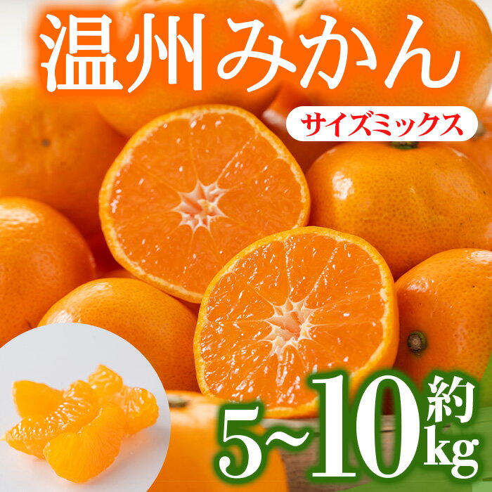 ＜先行予約！2026年12月上旬以降順次発送予定＞＜選べる容量＞香川県産 温州みかん(約5kg・約10kg/サイズミックス) 国産 果物 果実 くだもの フルーツ みかん 蜜柑 温州 オレンジ ミカン 柑橘 【man119-AB】【Aglio nero】