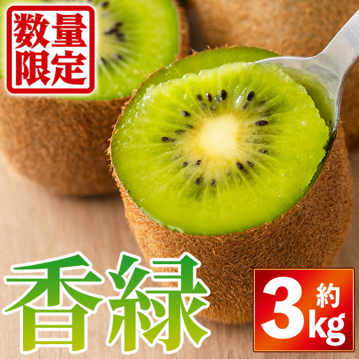 ＜先行予約！2025年11月下旬以降順次発送予定＞香川県産 香緑キウイ(約3kg)国産 果物 くだもの 産地直送 フルーツ キウイフルーツ【man055】【Aglio nero】