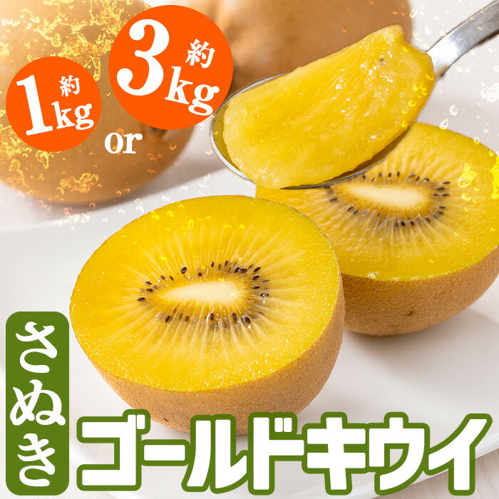 ＜期間限定！2025年10月中旬以降順次発送予定＞＜選べる容量＞香川県産 さぬきゴールドキウイ(約1kg・約3kg) キウイ ゴールドキウイ ブランド フルーツ 産地直送 新鮮 香川 香川県 特産 果物 ふるーつ 旬 人気 お取り寄せ【man063】【Aglio nero】