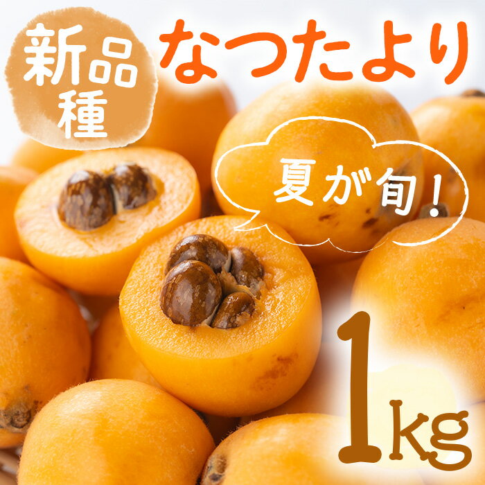 ＜先行予約！2026年5月下旬以降順次発送予定＞なつたより びわ (約1kg) フルーツ 産地直送 新鮮 香川 香川県 特産 果物 ふるーつ 旬 人気 お取り寄せ【man066】【Aglio nero】