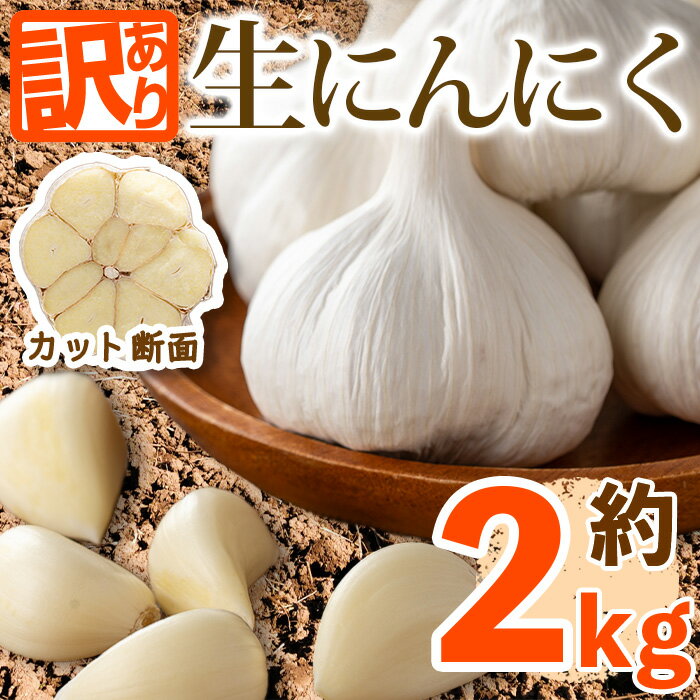 ＜先行予約！2026年5月上旬以降順次発送予定＞＜訳あり・家庭用＞香川県産 生にんにく(約2kg) 国産 野菜 ニンニク 生ニンニク 大蒜 薬味 産地直送 【man068】【Aglio nero】