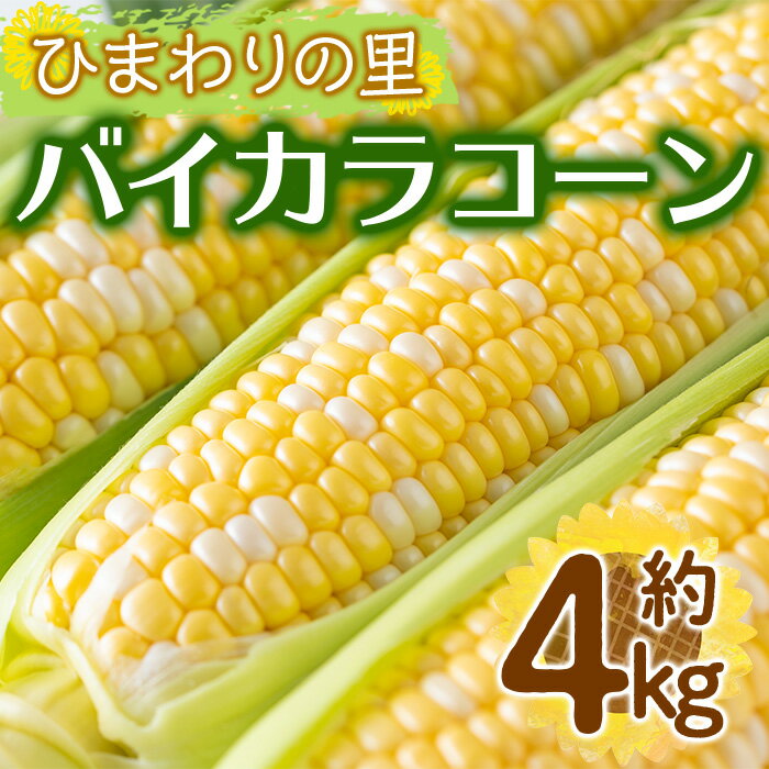 ＜先行予約！2026年6月上旬以降順次発送予定＞バイカラコーン (約4kg) トウモロコシ とうもろこし とうきび コーン 夏 夏野菜 野菜 産地直送 新鮮 香川 香川県 特産 果物 ベジタブル 旬 人気 お取り寄せ 【man070】【Aglio nero】