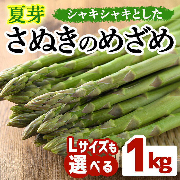 ＜先行予約！2026年6月上旬以降順次発送＞＜Lサイズも選べる＞夏芽！太物さぬきのめざめ(約1kg) アスパラガス 国産 香川県 冷蔵 グリーン 旬 【man084】【Aglio nero】