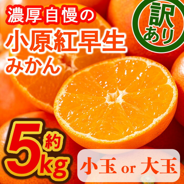 ＜先行予約！2025年11月下旬以降順次発送予定＞＜訳あり・家庭用＞＜選べるサイズ＞香川県産 小原紅早生みかん(約5kg/小玉・大玉)国産 果物 果実 くだもの フルーツ みかん 蜜柑 ミニ 小さい 傷あり 【man089】【Aglio nero】