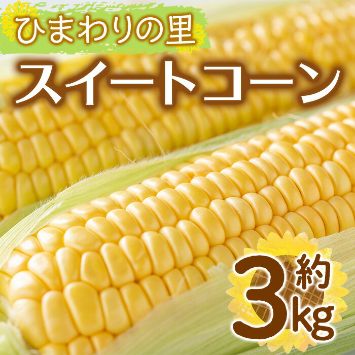 ＜先行予約！2026年6月上旬以降順次発送予定＞イエローコーン(約3kg) 国産 トウモロコシ 野菜 コーン とうもろこし 産地直送 新鮮 冷蔵便 【man113】【Aglio nero】