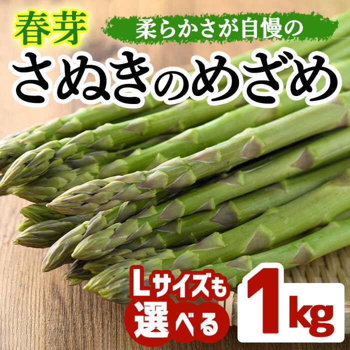 ＜期間限定！2026年2月下旬以降順次発送予定＞＜Lサイズも選べる＞春芽！アスパラガス さぬきのめざめ (約1kg/通常サイズ・Lサイズ以上) 野菜 アスパラガス アスパラ 産地直送 新鮮 冷蔵便 【man116・man117】【Aglio nero】