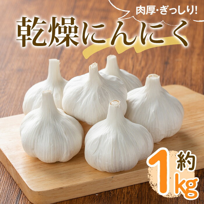 ＜先行予約！2026年6月中旬以降順次発送予定＞乾燥にんにく(約1kg) 国産 野菜 生にんにく ニンニク 乾燥ニンニク 大蒜 薬味 産地直送 新登場 【man232】【Aglio nero】