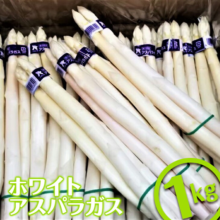 ＜期間限定！2026年3月上旬以降順次発送＞ホワイトアスパラガス (約1kg) 国産 香川県 冷蔵 白 旬【man080】【Aglio nero】