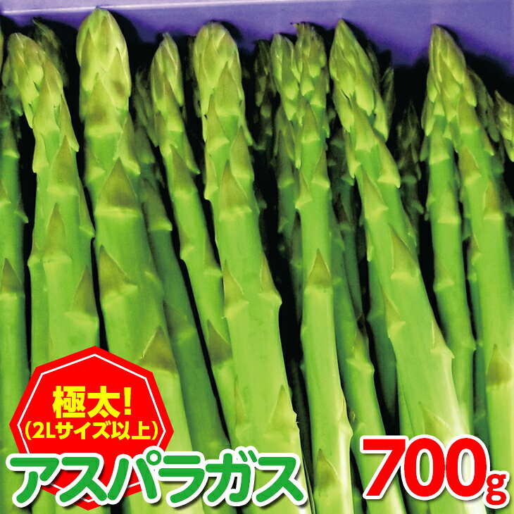 ＜期間限定！2026年2月下旬以降順次発送予定＞＜極太＞アスパラガス(約700g・2Lサイズ以上)国産 野菜 アスパラ 産地直送 新鮮 冷蔵便 【man096】【Aglio nero】