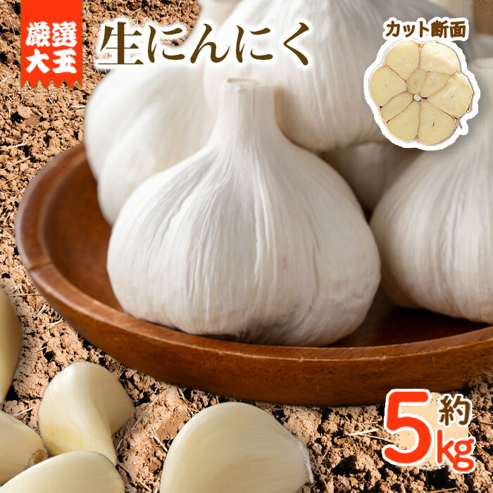 ＜先行予約！2026年5月上旬以降順次発送予定＞＜厳選大玉＞生にんにく(約5kg)国産 野菜 生にんにくニンニク 生ニンニク 大蒜 薬味 産地直送【man069】【Aglio nero】