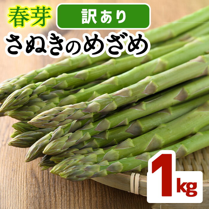 ＜期間限定！2026年2月下旬以降順次発送予定＞＜訳あり・家庭用＞春芽！アスパラガス「さぬきのめざめ」(約1kg)国産 野菜 アスパラガス アスパラ 産地直送 新鮮 冷蔵便 【man118】【Aglio nero】