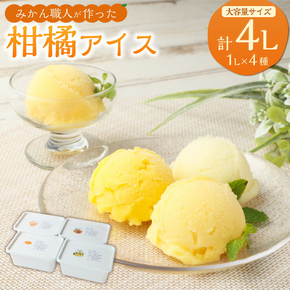 みかん職人が作った 柑橘 アイス 1000ml×4種 （夢オレンジ・愛媛みかん・河内晩柑・しらぬい） シャーベット 12000円 1万2000円 蜜柑 果物 濃厚 デザート スイーツ 食べ比べ セット 冷凍 愛媛県 送料無料(294-1) 【えひめの町（超）推し！（愛南町）】