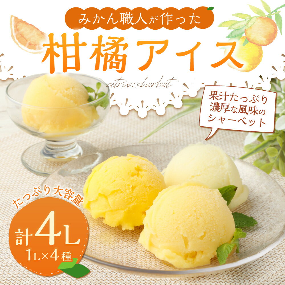 【ふるさと納税】みかん職人が作った 柑橘 アイス 1000ml×4種 （夢オレンジ・愛媛みかん・河内晩柑・しらぬい） シャーベット 12000円 1万2000円 蜜柑 果物 濃厚 デザート スイーツ 食べ比べ セット 冷凍 愛媛県 送料無料(294-1) 【えひめの町（超）推し！（愛南町）】 - 画像2