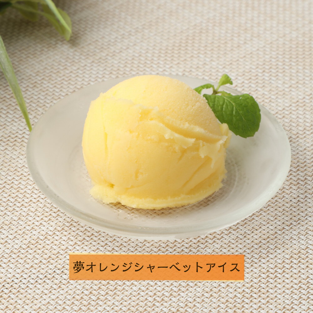 【ふるさと納税】みかん職人が作った 柑橘 アイス 1000ml×4種 （夢オレンジ・愛媛みかん・河内晩柑・しらぬい） シャーベット 12000円 1万2000円 蜜柑 果物 濃厚 デザート スイーツ 食べ比べ セット 冷凍 愛媛県 送料無料(294-1) 【えひめの町（超）推し！（愛南町）】 - 画像3