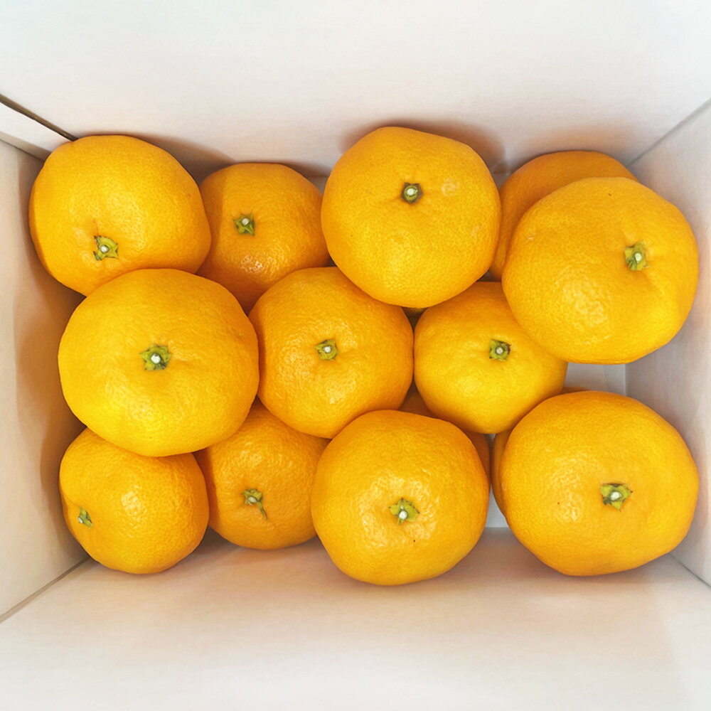 【ふるさと納税】数量限定！紅まどんなを開発した愛媛県果樹研究センターが栽培！温州みかん （愛媛県オリジナル品種ひめのか） 2kg 1箱 柑橘 みかん ひめのか フルーツ 柑橘 国産 お取り寄せ 常温 送料無料【2026年1月上旬～1月下旬発送予定】(347) サムネイル3