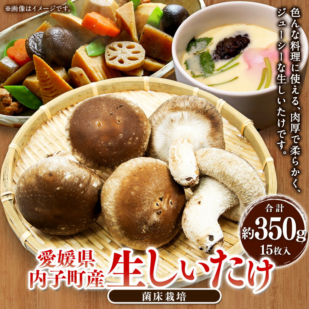 【ふるさと納税】内子町産 生しいたけ（菌床栽培） 約350g 15枚入り 椎茸 シイタケ きのこ キノコ 茸 国産 四国 愛媛県 送料無料 (442)【えひめの町（超）推し！（内子町）】 - 画像2