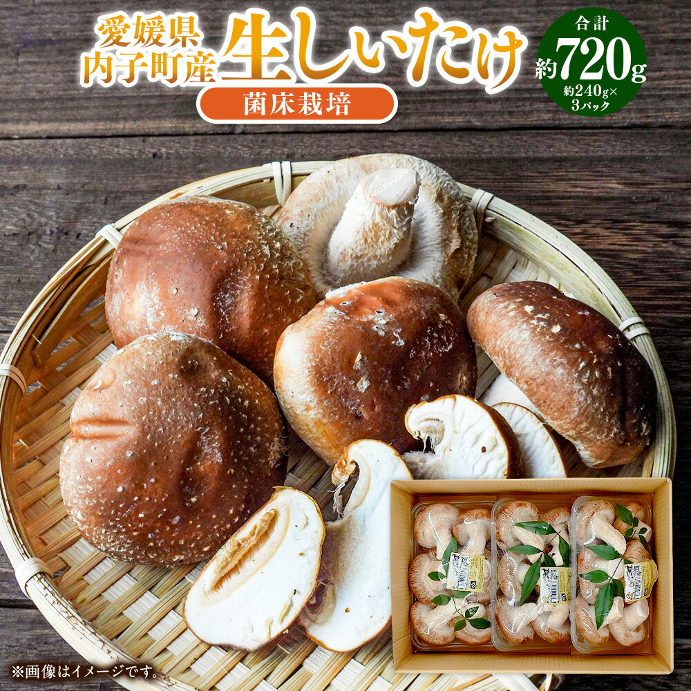 内子町産 生しいたけ（菌床栽培） 約240g×3パック 合計約720g 椎茸 シイタケ きのこ キノコ 茸 愛媛県産 国産 四国 愛媛県 送料無料 (443)【えひめの町（超）推し！（内子町）】